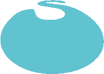 Corel Website Creator X6