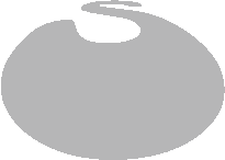 shinlogotype-monolight